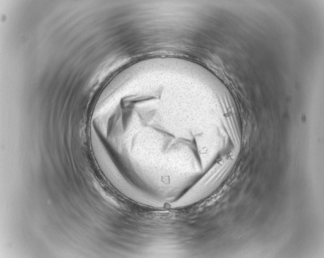 X0000087030050200705141932