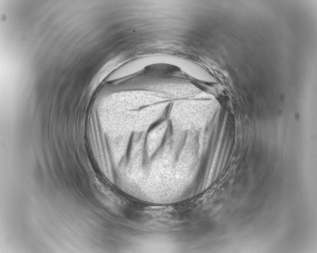 X0000087030051200705141932