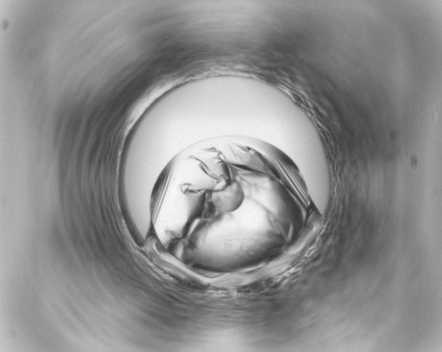 X0000087030052200705141932