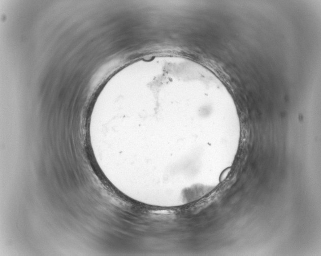 X0000087030053200705141932