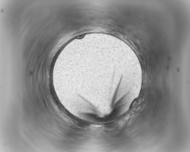 X0000087030055200705141932