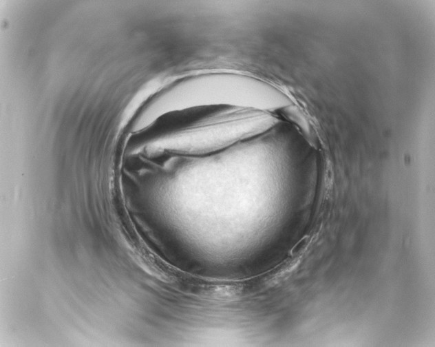 X0000087030056200705141932