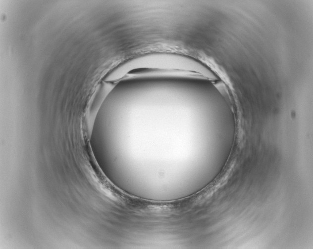 X0000087030057200705141932