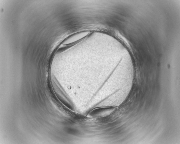 X0000087030059200705141932