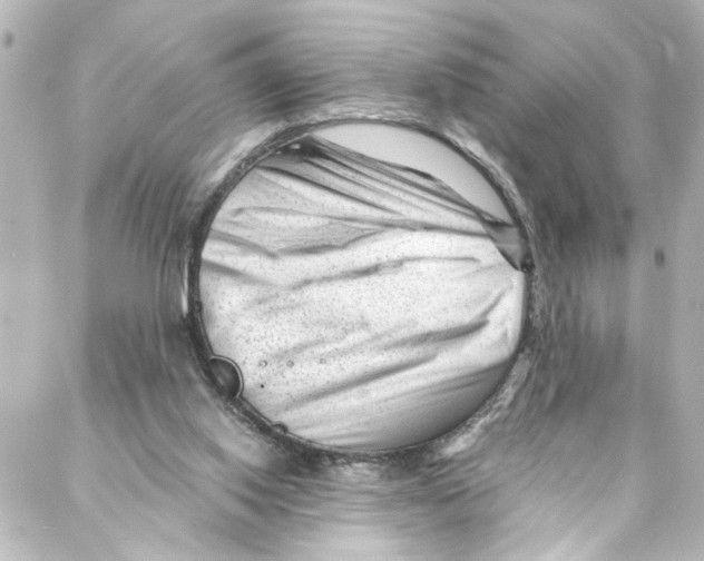 X0000087030062200705141932