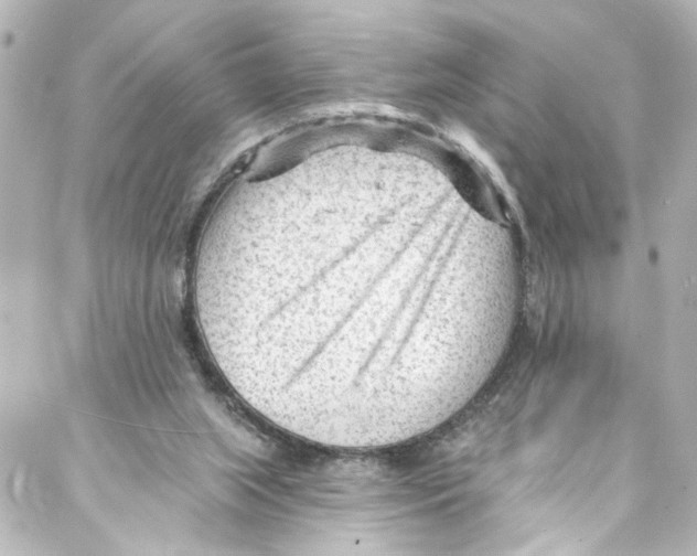 X0000087030063200705141932