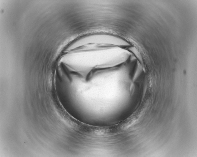 X0000087030064200705141932