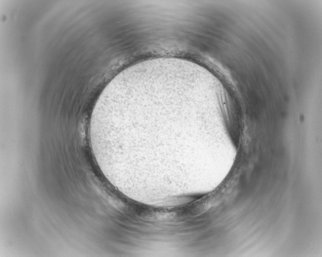 X0000087030065200705141932