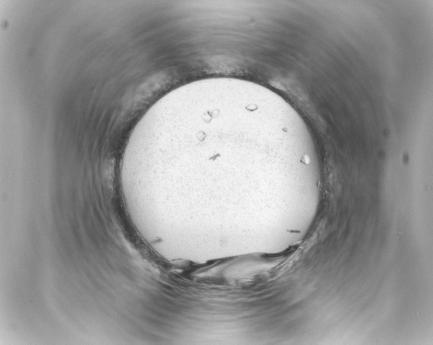 X0000087030066200705141932