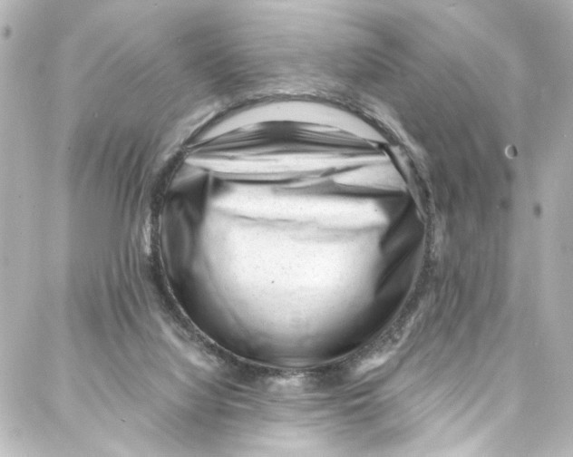 X0000087030068200705141932