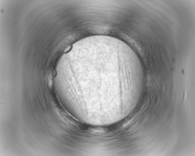 X0000087030069200705141932