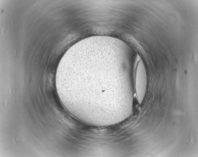 X0000087030071200705141932