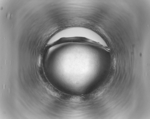 X0000087030076200705141932