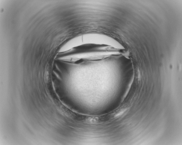 X0000087030080200705141933