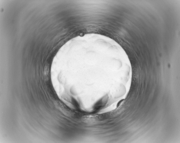 X0000087030082200705141933