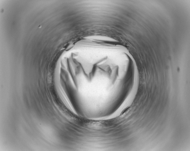 X0000087030086200705141933