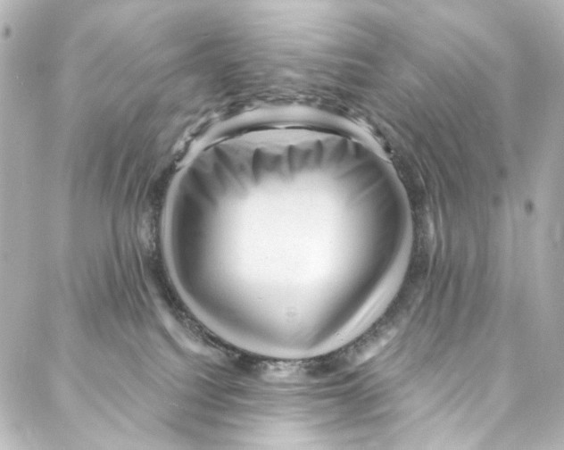 X0000087030088200705141933