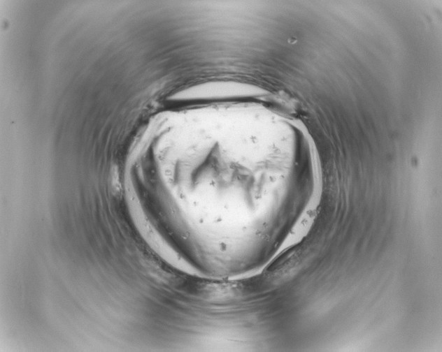 X0000087030089200705141933