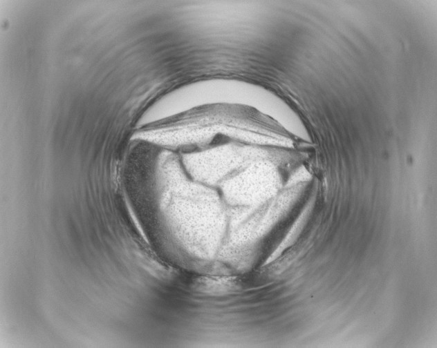 X0000087030093200705141933