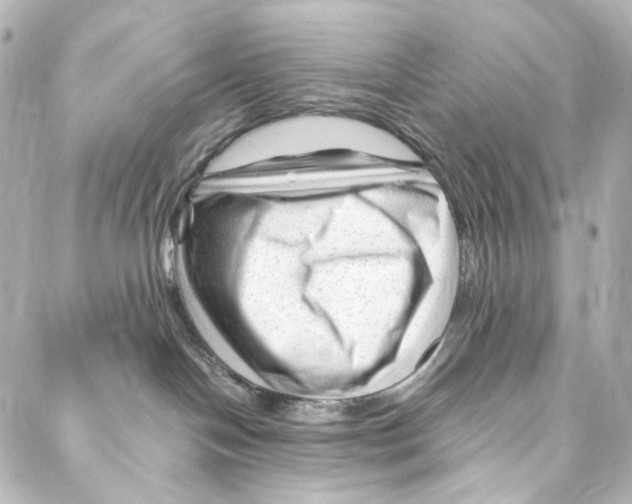 X0000087030094200705141933