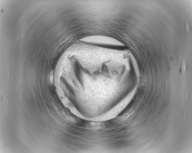 X0000087030095200705141933