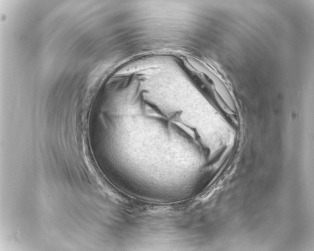 X0000087030097200705141932