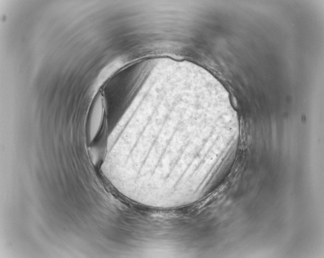 X0000087030099200705141932