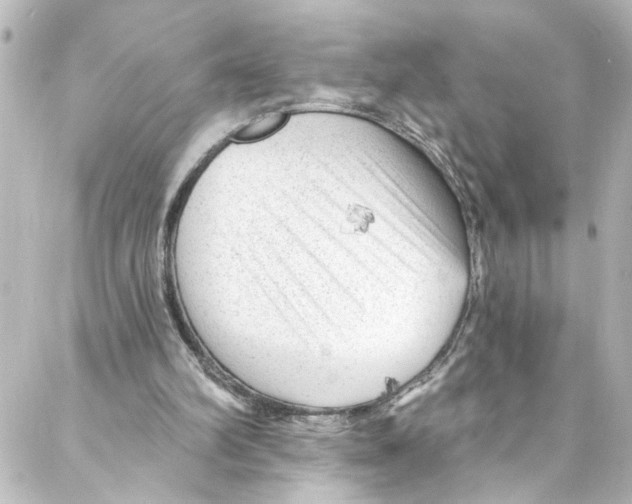 X0000087030102200705141932