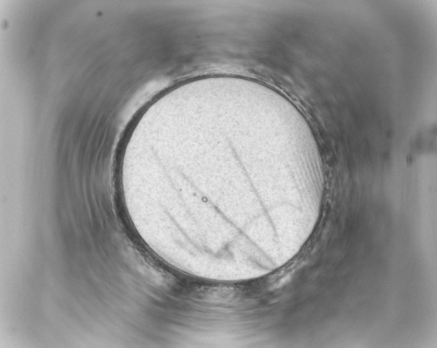 X0000087030104200705141932