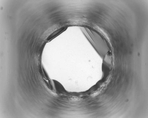 X0000087030105200705141932