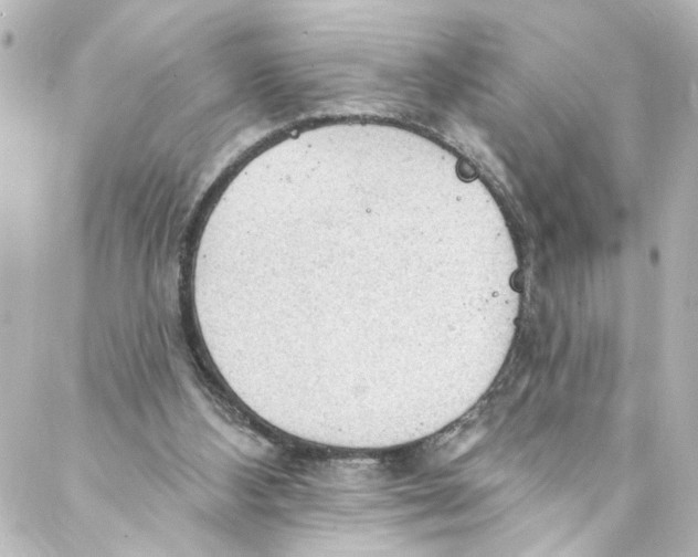 X0000087030108200705141932