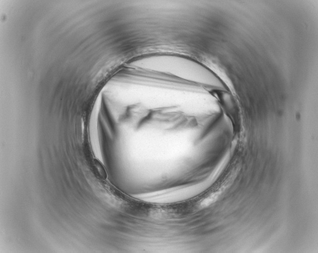 X0000087030109200705141932