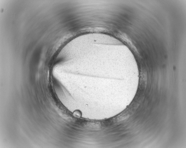 X0000087030110200705141932