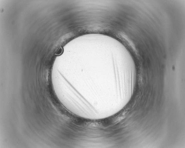 X0000087030115200705141932