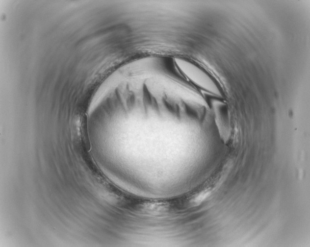 X0000087030117200705141932