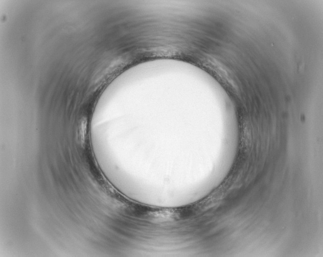 X0000087030118200705141932