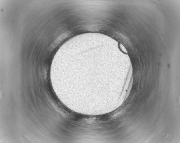 X0000087030120200705141932