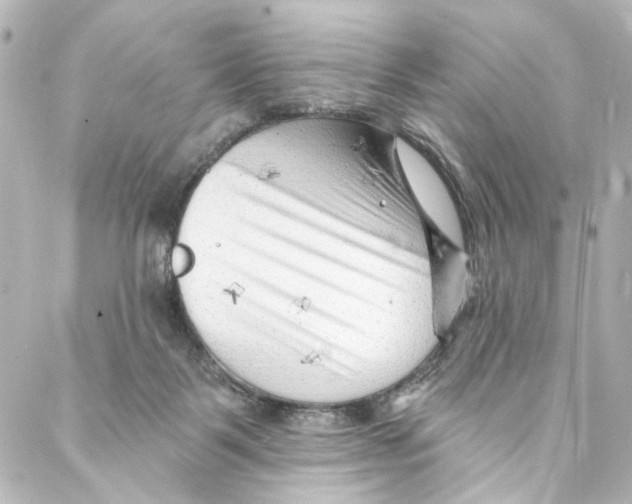 X0000087030123200705141932