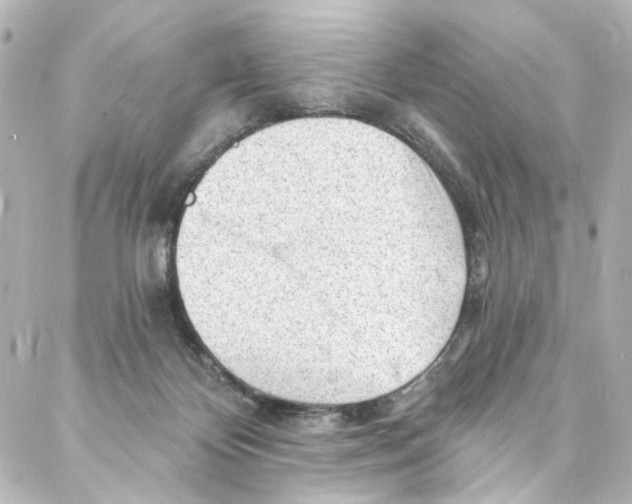 X0000087030124200705141932