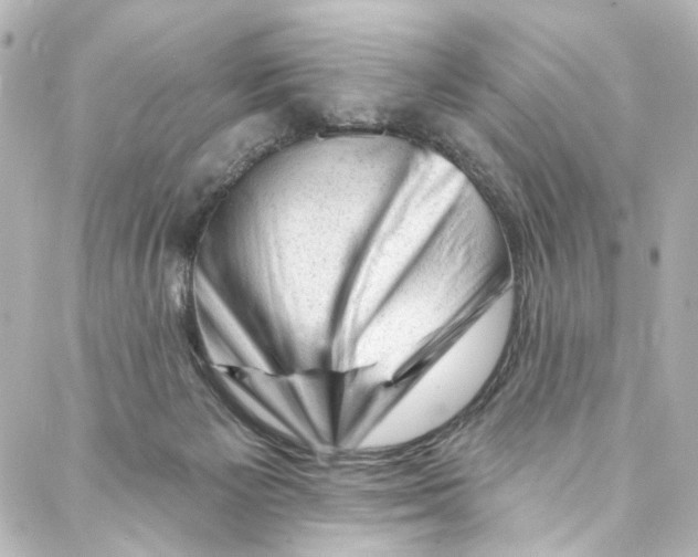 X0000087030125200705141932