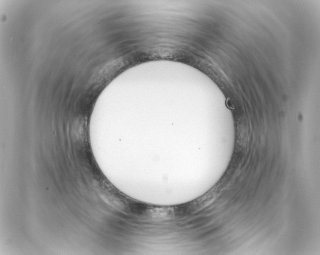 X0000087030126200705141932