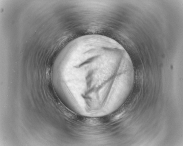 X0000087030127200705141932