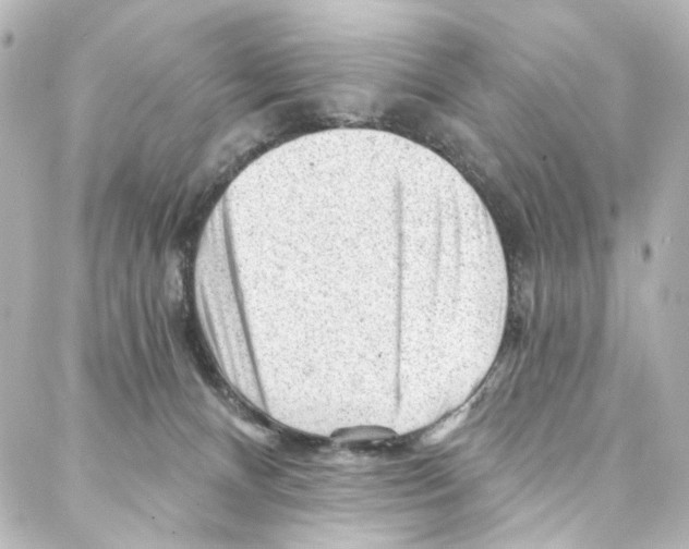 X0000087030128200705141932