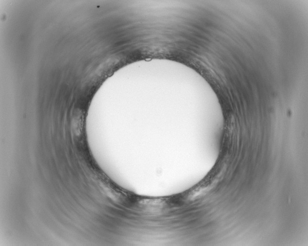 X0000087030133200705141931