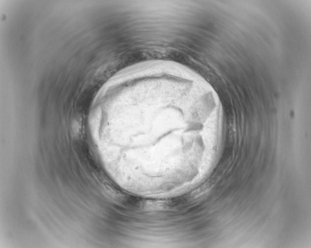 X0000087030134200705141931