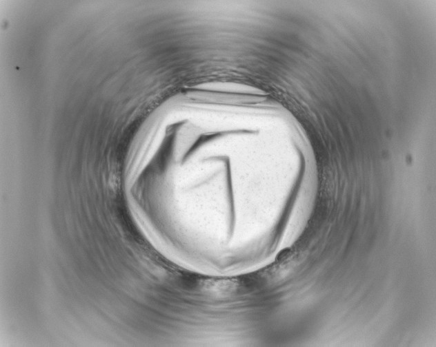 X0000087030135200705141931