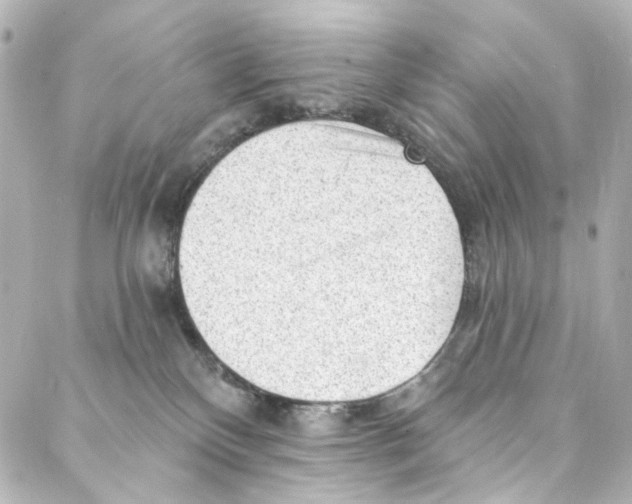 X0000087030136200705141931