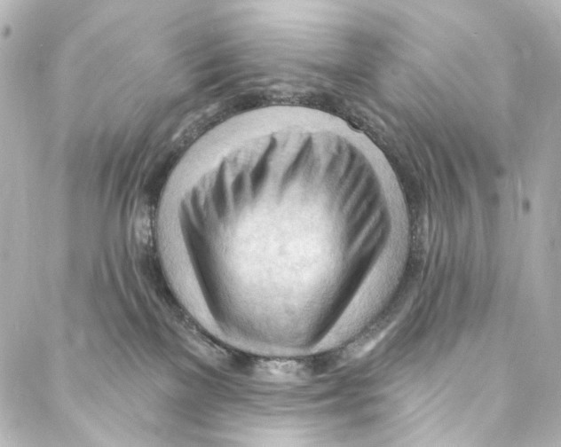 X0000087030137200705141931