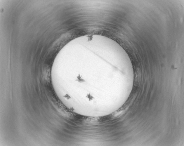 X0000087030138200705141931