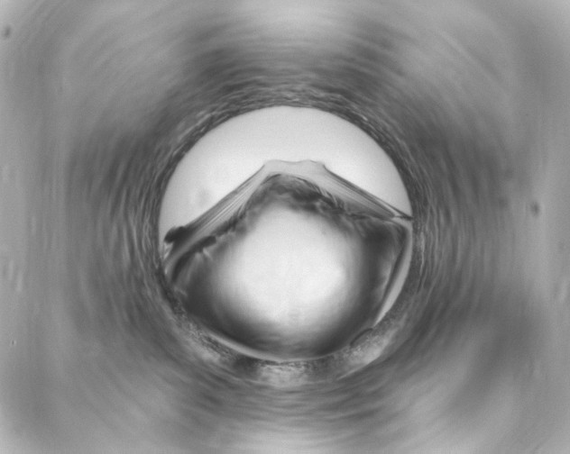 X0000087030139200705141931